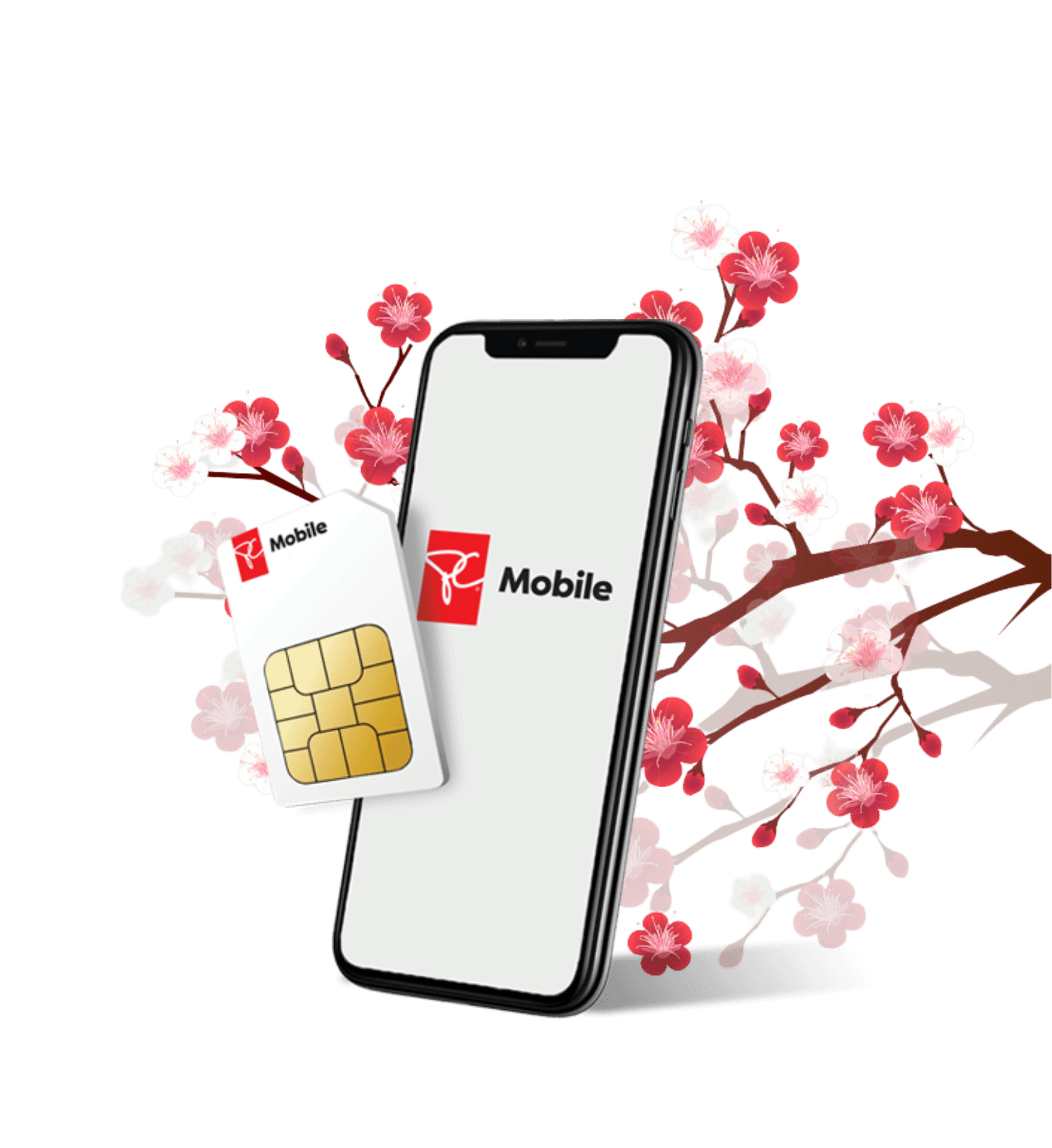 PC Mobile Phone and Sim Card